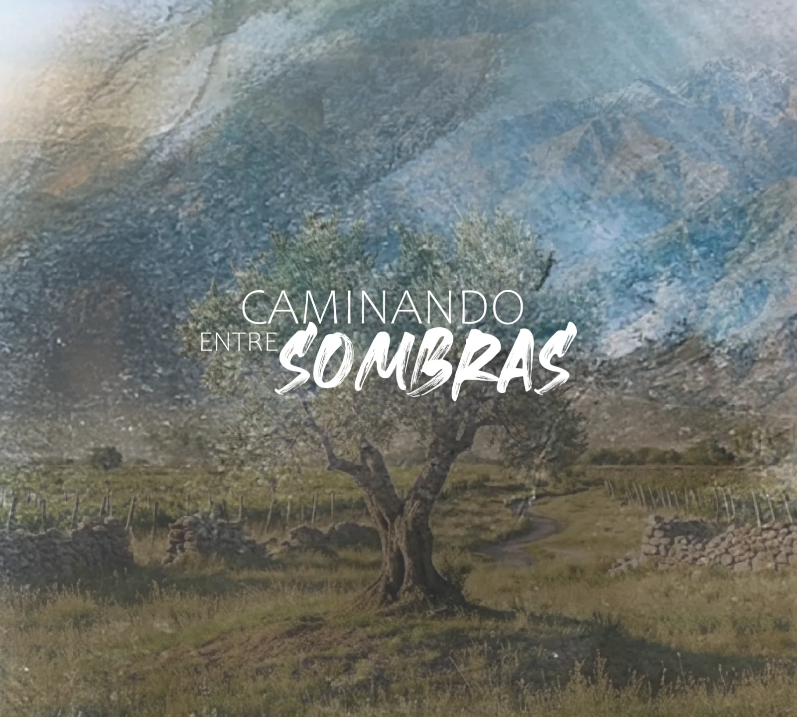 Caminando entre Sombras, imagen 1
